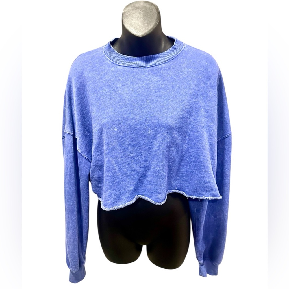 Labiz Blue Cropped Sweatshirt Medium